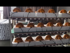 Dây chuyền sản xuất đèn LED chống nước của nhà máy WEI Lighting.