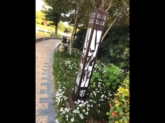 Modern outdoor Ip65 Waterproof Pathway Park garden lawn light