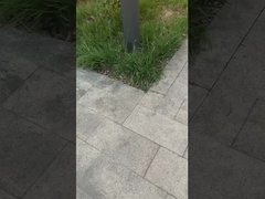 ✅ Ánh sáng công viên! Ánh sáng bãi cỏ, Ánh sáng cuộc sống.