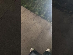 Thật không thể tin được! Nhìn đèn sân cho vườn.