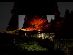 Nhìn cái đèn Lwan sáng này đi.