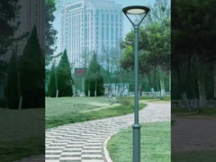 Ánh sáng rực rỡ trong khu dân cư thực sự thích hợp để đi dạo!