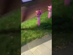 Ánh sáng cảnh quan ngoài trời - Ánh sáng công cộng cho đường phố và công viên