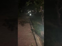 Đèn đường ngoài trời - Đèn cho công viên