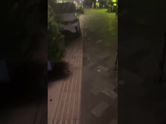 Ánh sáng cuộc sống và tạo ra bầu không khí ấm áp - Đèn vườn ngoài trời