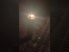 Ánh sáng cho các khu vườn ngoài trời với phong cảnh cỏ trong trật tự!