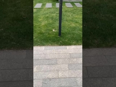 Đèn phong cảnh tốt nhất xuất hiện trong các điểm du lịch.