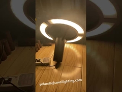 Kiểm tra ánh sáng vườn Đèn tùy chỉnh điện áp