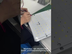 Quá trình lắp đặt chip và ống kính ánh sáng vườn mặt trời.