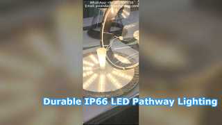 Đèn led sân vườn chống nước IP66 bằng nhôm đúc dùng trong công viên.