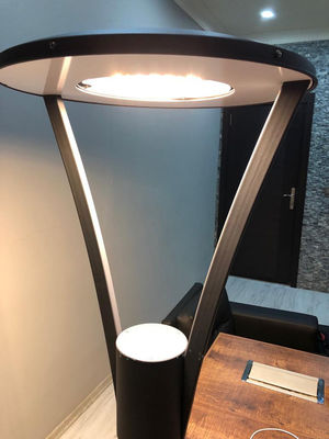 Đèn vườn LED điện áp thấp Vật liệu nhôm 50 Watt Đèn vườn LED Đèn đèn CE, RoHS được phê duyệt Đèn cảnh quan